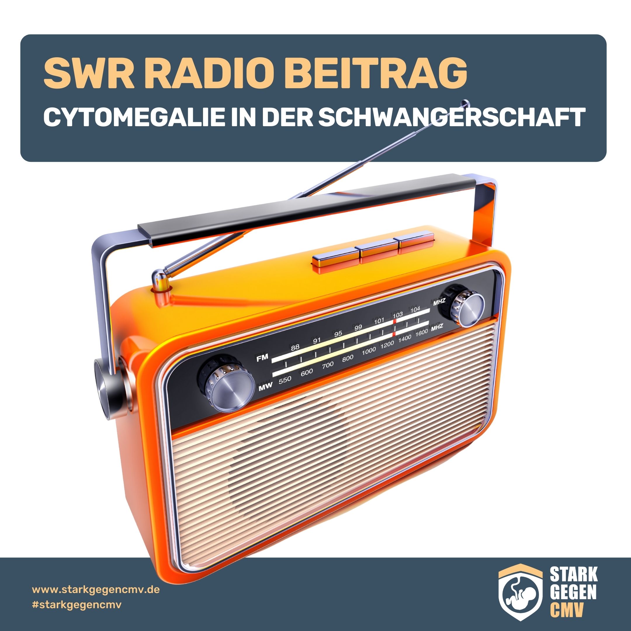 SWR Radio Beitrag CMV